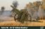 Picture of Polish Wz. 14/19 100mm Howitzer 