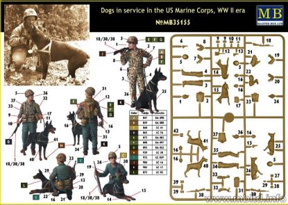 Picture of Dogs in service in the US Marine Corps, WW II era 
