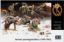 Picture of Germany Panzergrenadiers, 1939-1942, 7 figures 