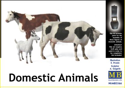 Picture of Domestic Animals 
