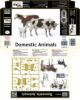 Picture of Domestic Animals 