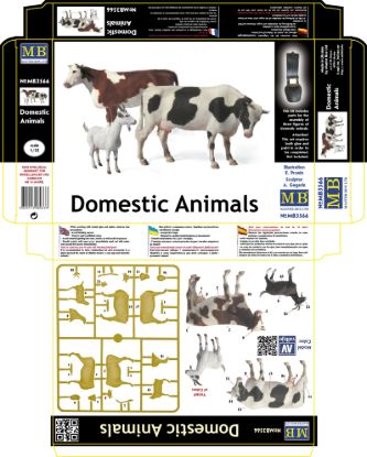 Picture of Domestic Animals 