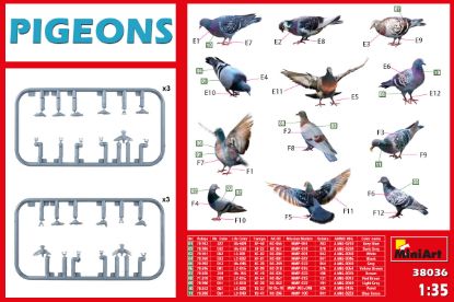 Picture of Pigeons