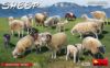 Picture of Sheep