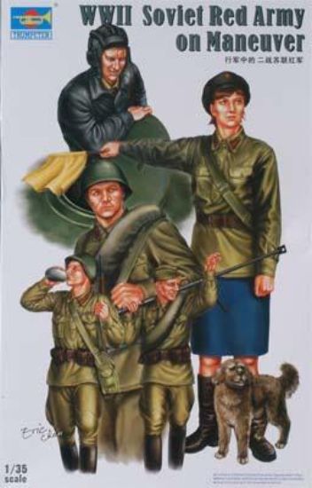 Picture of WW II Soviet Red Army tank soldier 