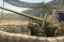 Picture of Soviet 122mm corps gun M1931/1937  with M1931 Wheel (A-19)                                