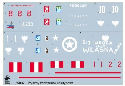 Picture of Captured & non-standard vehicles in Polish service