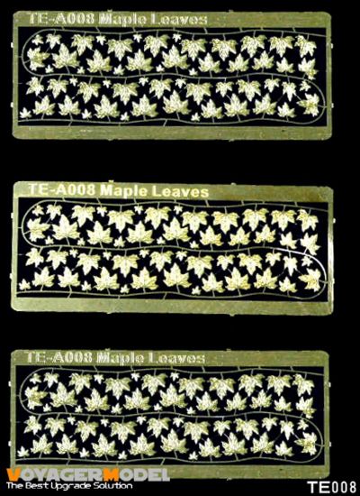Picture of Maple Leaves  (Same as TE008)